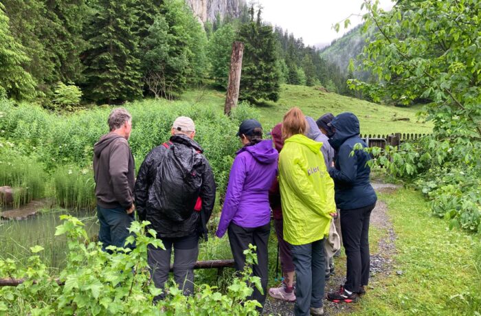 Le Vallon de Nant & Son Jardin Botanique, le 23 Juin 2024